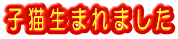 �q�L���܂�܂���