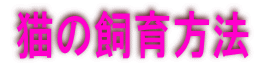 L̎@