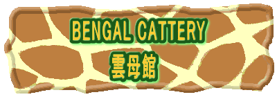 BENGAL CATTERY     @ _ 