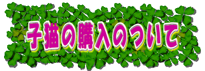 qL̍ŵ